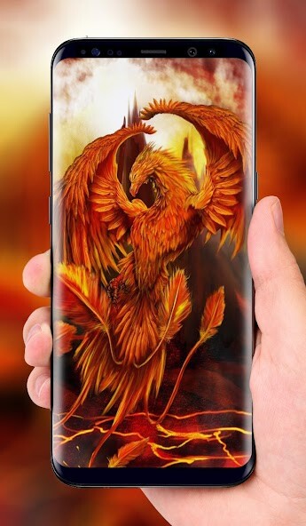Run android online APK Phoenix Wallpaper HD from MyAndroid or emulate Phoenix Wallpaper HD using MyAndroid Run android online APK Phoenix Wallpaper HD from MyAndroid or emulate Phoenix Wallpaper HD using MyAndroid