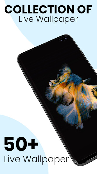 Run android online APK Phone Xs Max, Xr Live Wallpape from MyAndroid or emulate Phone Xs Max, Xr Live Wallpape using MyAndroid