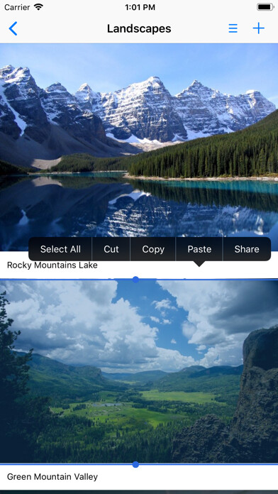 Emulate iPhone app PhotoAlbum-Pro using MyAndroid Emulate iPhone app PhotoAlbum-Pro using MyAndroid