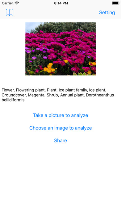 Emulate iPhone app PhotoAnalyze AI photo analyzer using MyAndroid