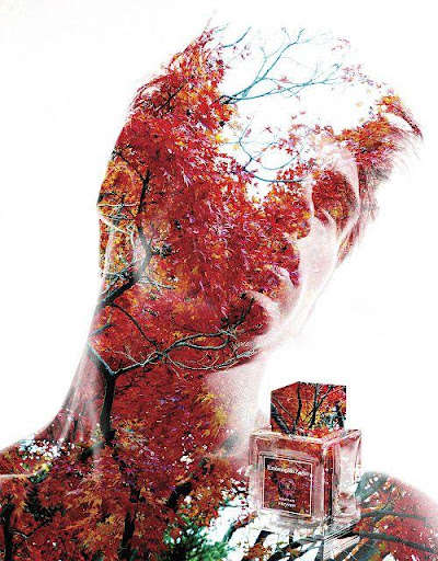 Run android online APK Photo Blending Effect from MyAndroid or emulate Photo Blending Effect using MyAndroid