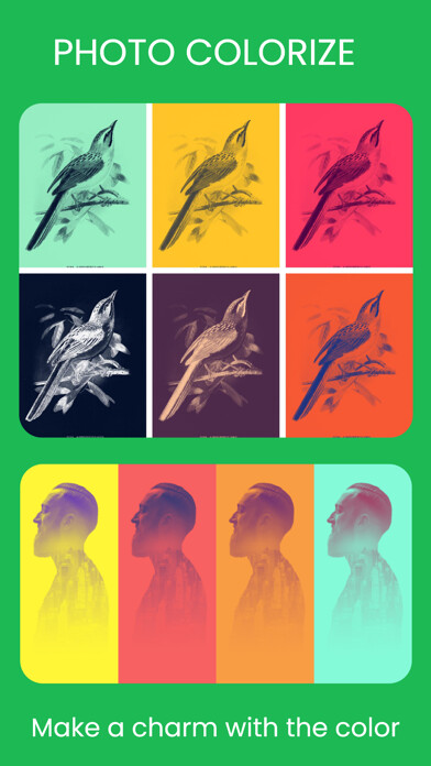 Emulate iPhone app Photo Colorize using MyAndroid Emulate iPhone app Photo Colorize using MyAndroid