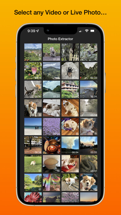 Emulate iPhone app Photo Extractor using MyAndroid Emulate iPhone app Photo Extractor using MyAndroid