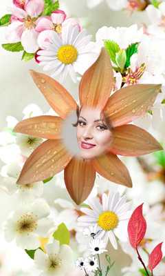 Emulate Android APK Photo Flower Photo Frames Emulate Android APK Photo Flower Photo Frames