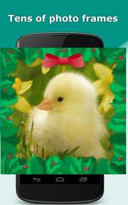 Emulate Android APK Photo in frames - Funny photo