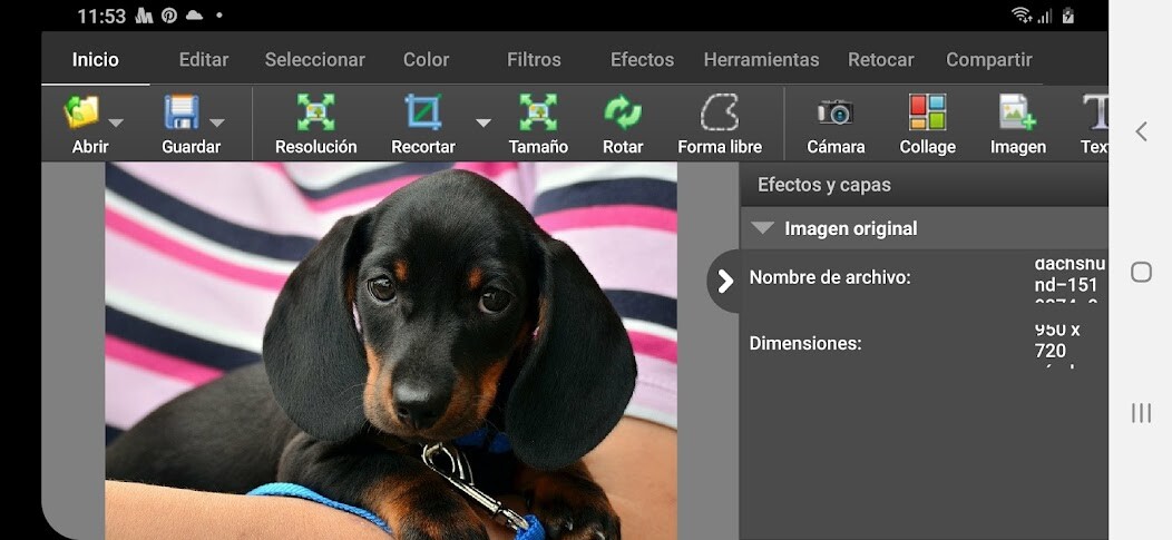 Run android online APK PhotoPad, Profesional from MyAndroid or emulate PhotoPad, Profesional using MyAndroid
