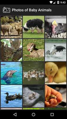 Emulate Android APK Photos of Baby Animals Emulate Android APK Photos of Baby Animals