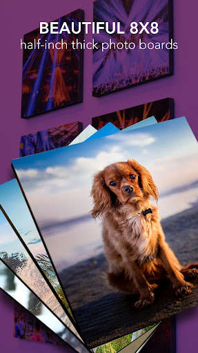 Run android online APK PhotoSquared: Wall Art from MyAndroid or emulate PhotoSquared: Wall Art using MyAndroid