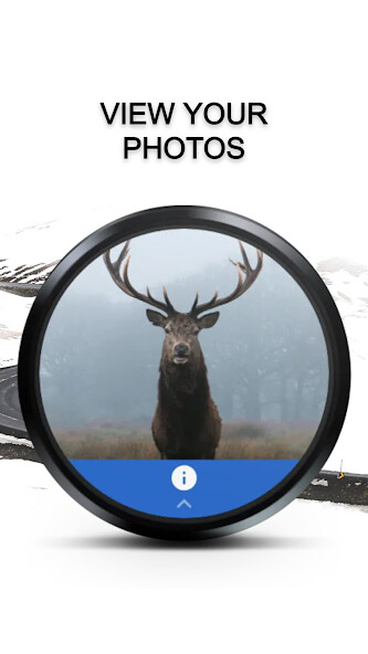 Run android online APK Photos - Wear OS Image Gallery from MyAndroid or emulate Photos - Wear OS Image Gallery using MyAndroid Run android online APK Photos - Wear OS Image Gallery from MyAndroid or emulate Photos - Wear OS Image Gallery using MyAndroid