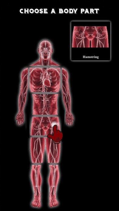Emulate iPhone app Physiotherapy Exercises & Cardio Workouts - PRO using MyAndroid Emulate iPhone app Physiotherapy Exercises & Cardio Workouts - PRO using MyAndroid
