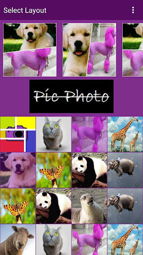 Run android online APK Pic Photo from MyAndroid or emulate Pic Photo using MyAndroid