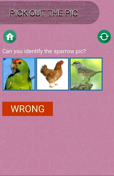 Emulate Android APK Pic Quiz Game