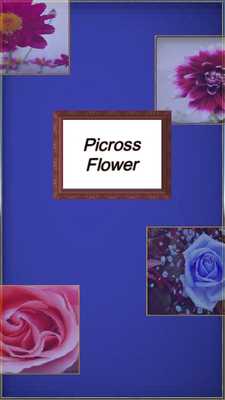 Emulate Android APK Picross Flower ( Nonogram )