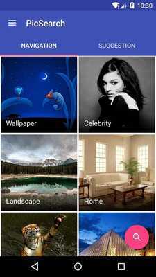 Emulate Android APK PicSearch