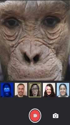 Emulate Android APK Pics Effects Guide For MSQRD Emulate Android APK Pics Effects Guide For MSQRD