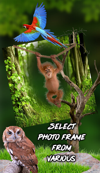 Run android online APK Pic Set in Animal Photo Frame from MyAndroid or emulate Pic Set in Animal Photo Frame using MyAndroid