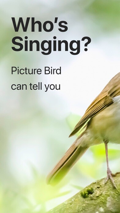 Emulate iPhone app Picture Bird: Birds Identifier using MyAndroid Emulate iPhone app Picture Bird: Birds Identifier using MyAndroid