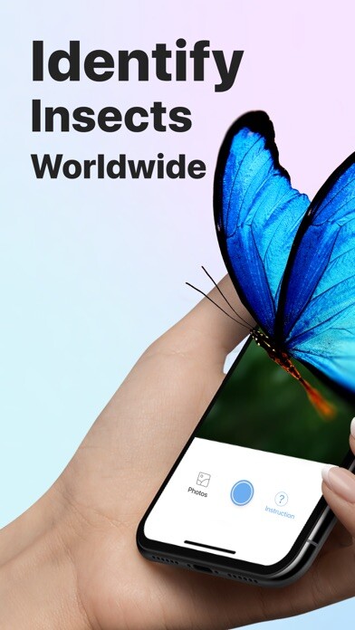 Emulate iPhone app Picture Insect: Bug Identifier using MyAndroid Emulate iPhone app Picture Insect: Bug Identifier using MyAndroid
