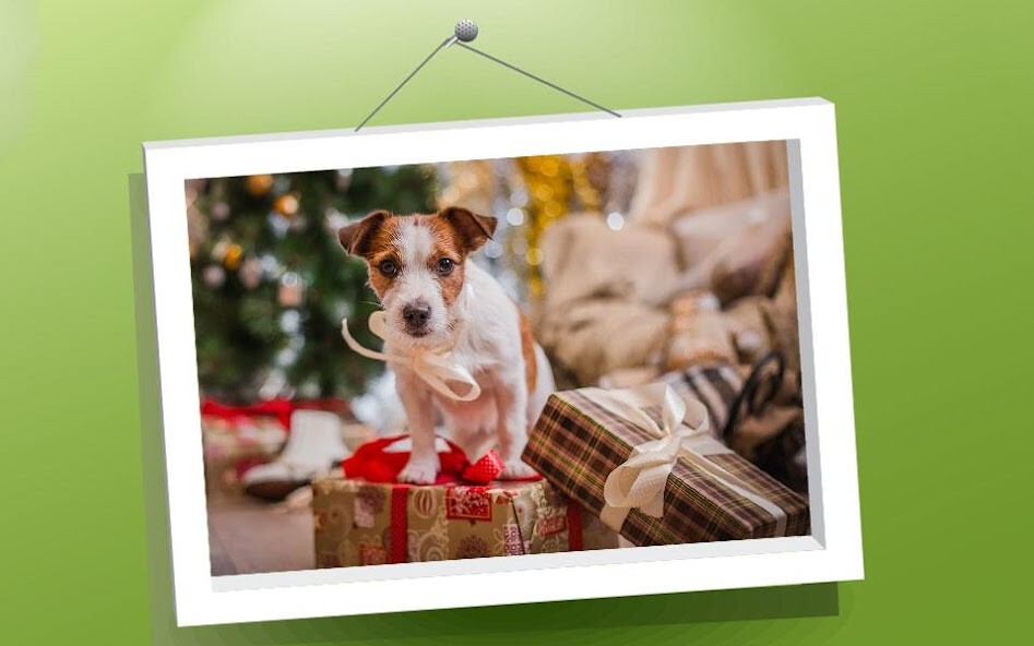 Emulate Android APK Picture Puzzle: Dogs