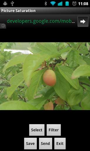 Run android online APK Picture Saturation from MyAndroid or emulate Picture Saturation using MyAndroid