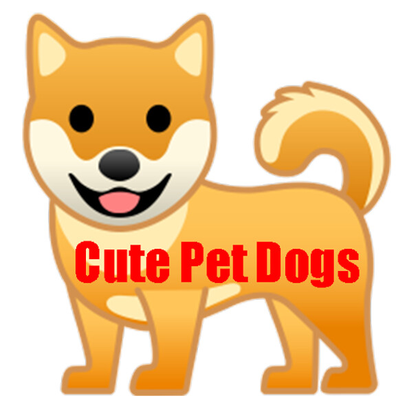Run android online APK Pictures of cute pet dogs offline from MyAndroid or emulate Pictures of cute pet dogs offline using MyAndroid