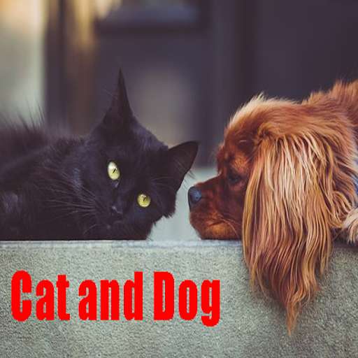 Run android online APK Pictures of the cat and dog together from MyAndroid or emulate Pictures of the cat and dog together using MyAndroid Run android online APK Pictures of the cat and dog together from MyAndroid or emulate Pictures of the cat and dog together using MyAndroid
