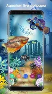 Emulate Android APK Picturesque Nature Live Wallpaper