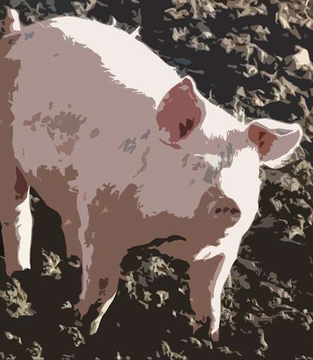 Run android online APK Pig (animal) sounds ~ Sboard.pro from MyAndroid or emulate Pig (animal) sounds ~ Sboard.pro using MyAndroid