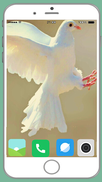 Run android online APK Pigeon Full HD Wallpaper from MyAndroid or emulate Pigeon Full HD Wallpaper using MyAndroid Run android online APK Pigeon Full HD Wallpaper from MyAndroid or emulate Pigeon Full HD Wallpaper using MyAndroid