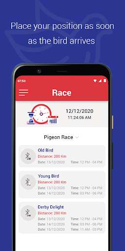 Run android online APK Pigeon Sports Clock Open from MyAndroid or emulate Pigeon Sports Clock Open using MyAndroid