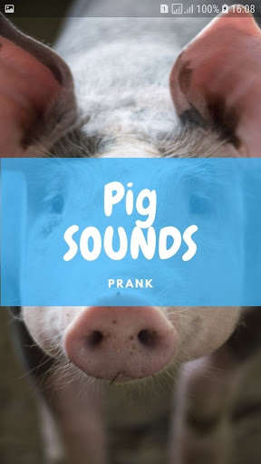Run android online APK Pig Sounds and Wallpapers from MyAndroid or emulate Pig Sounds and Wallpapers using MyAndroid Run android online APK Pig Sounds and Wallpapers from MyAndroid or emulate Pig Sounds and Wallpapers using MyAndroid