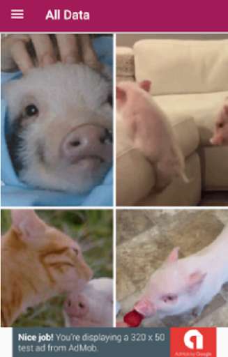 Run android online APK Pigs Wallpaper from MyAndroid or emulate Pigs Wallpaper using MyAndroid Run android online APK Pigs Wallpaper from MyAndroid or emulate Pigs Wallpaper using MyAndroid