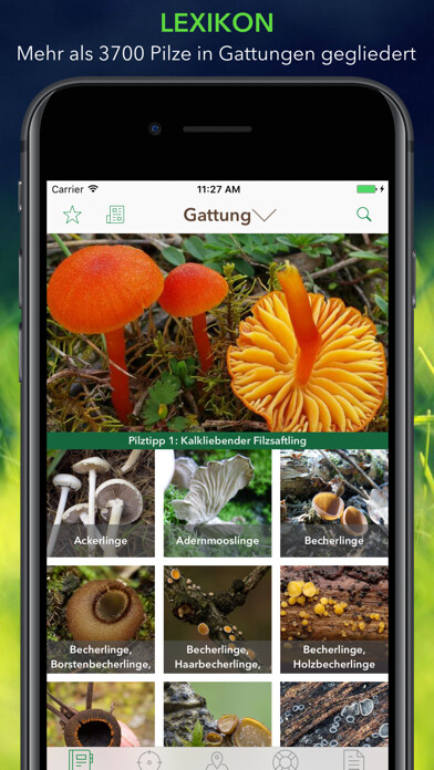 Run android online APK Pilze 123 from MyAndroid or emulate Pilze 123 using MyAndroid
