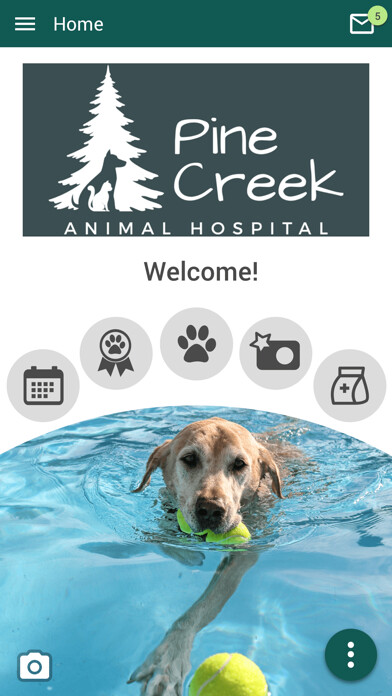 Run android online APK Pine Creek AH from MyAndroid or emulate Pine Creek AH using MyAndroid Run android online APK Pine Creek AH from MyAndroid or emulate Pine Creek AH using MyAndroid