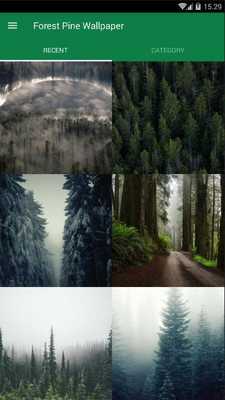 Emulate Android APK Pine Forest Wallpaper Emulate Android APK Pine Forest Wallpaper