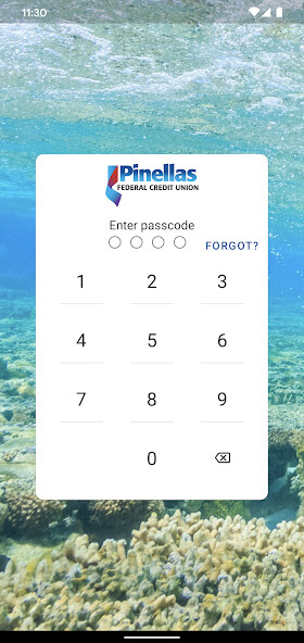 Run android online APK Pinellas FCU Mobile+ from MyAndroid or emulate Pinellas FCU Mobile+ using MyAndroid Run android online APK Pinellas FCU Mobile+ from MyAndroid or emulate Pinellas FCU Mobile+ using MyAndroid