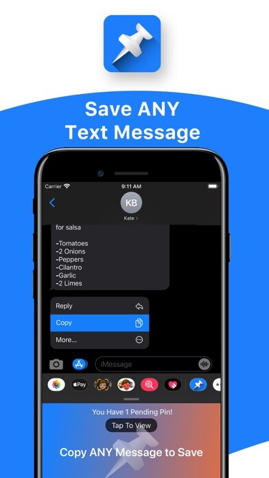 Emulate iPhone app PinIt! All-In-One Organizer using MyAndroid