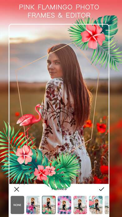 Emulate iPhone app Pink Flamingo Photo Frames using MyAndroid