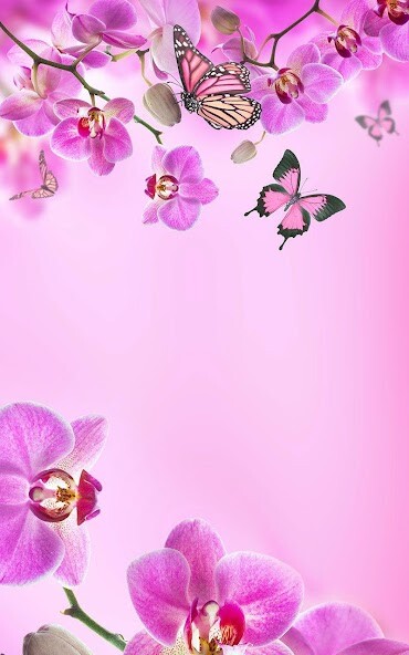 Emulate Android APK Pink Flowers Live Wallpaper Emulate Android APK Pink Flowers Live Wallpaper