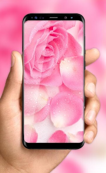 Run android online APK Pink Rose Live Wallpaper HD from MyAndroid or emulate Pink Rose Live Wallpaper HD using MyAndroid