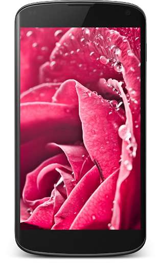 Emulate Android APK Pink Rose Live Wallpaper Emulate Android APK Pink Rose Live Wallpaper