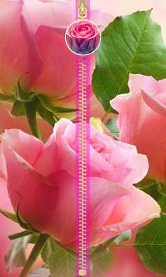 Emulate Android APK Pink Roses Zipper Lock Emulate Android APK Pink Roses Zipper Lock