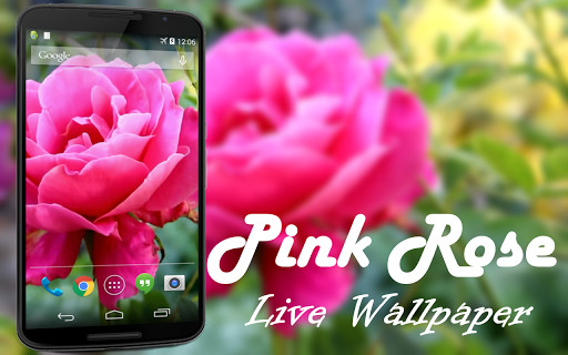 Run android online APK Pink Rose Video Live Wallpaper from MyAndroid or emulate Pink Rose Video Live Wallpaper using MyAndroid