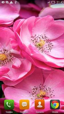 Emulate Android APK Pink Smell live wallpaper Emulate Android APK Pink Smell live wallpaper