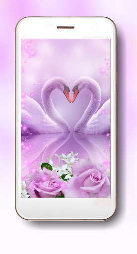 Run android online APK Pink Swans Live Wallpaper from MyAndroid or emulate Pink Swans Live Wallpaper using MyAndroid