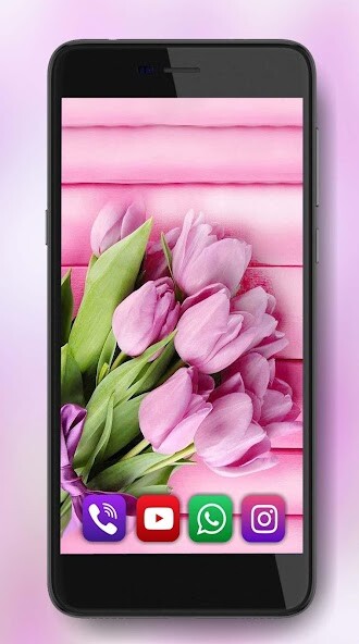 Run android online APK Pink Tulips Live Wallpaper from MyAndroid or emulate Pink Tulips Live Wallpaper using MyAndroid Run android online APK Pink Tulips Live Wallpaper from MyAndroid or emulate Pink Tulips Live Wallpaper using MyAndroid