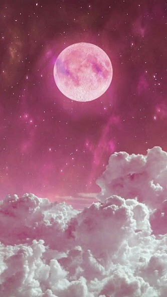 Run android online APK Pink Wallpapers HD 4K from MyAndroid or emulate Pink Wallpapers HD 4K using MyAndroid Run android online APK Pink Wallpapers HD 4K from MyAndroid or emulate Pink Wallpapers HD 4K using MyAndroid