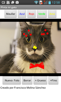 Emulate Android APK Pinta mi gato