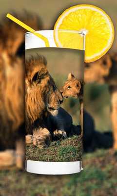 Emulate Android APK PIP Magic Photo Emulate Android APK PIP Magic Photo