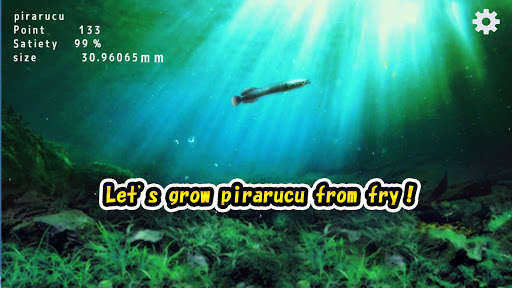 Run android online APK Pirarucu rising from fry from MyAndroid or emulate Pirarucu rising from fry using MyAndroid Run android online APK Pirarucu rising from fry from MyAndroid or emulate Pirarucu rising from fry using MyAndroid